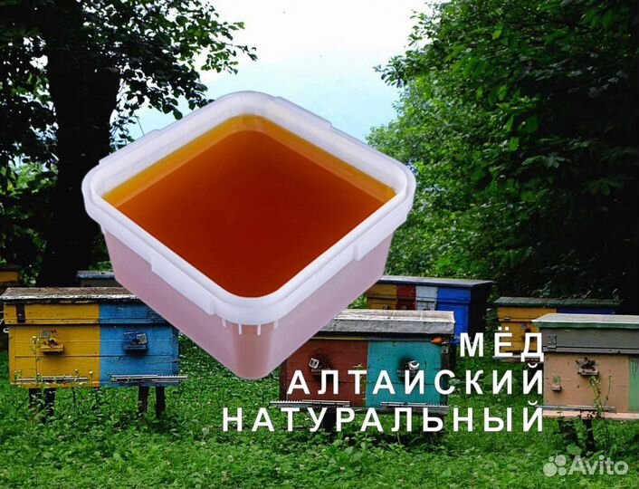 Мед натуральный из Алтая опт