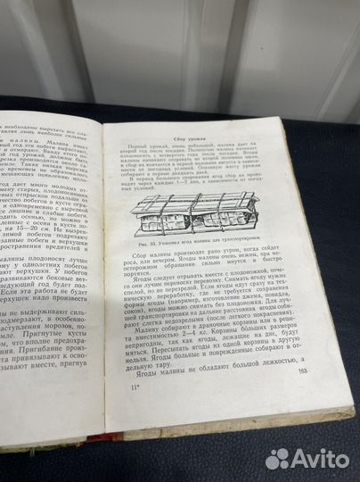 Книга Плодовый ягодный сад 1960г