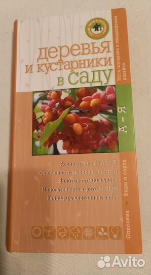 Деревья и кустарники средней полосы