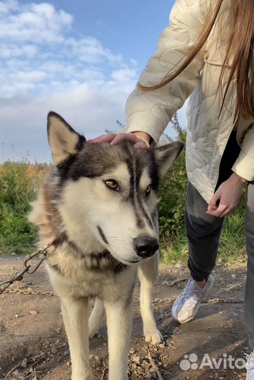 Тур в Карелию на выходные