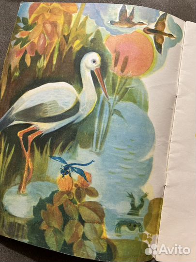 Лягушка-путешественница, Гаршин