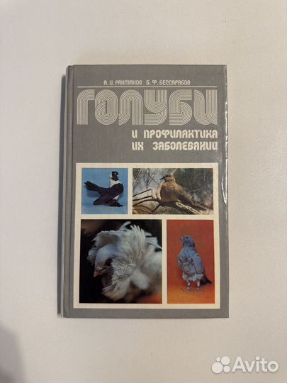 Рахтанов А.И. Голуби и профилактика их заболеваний