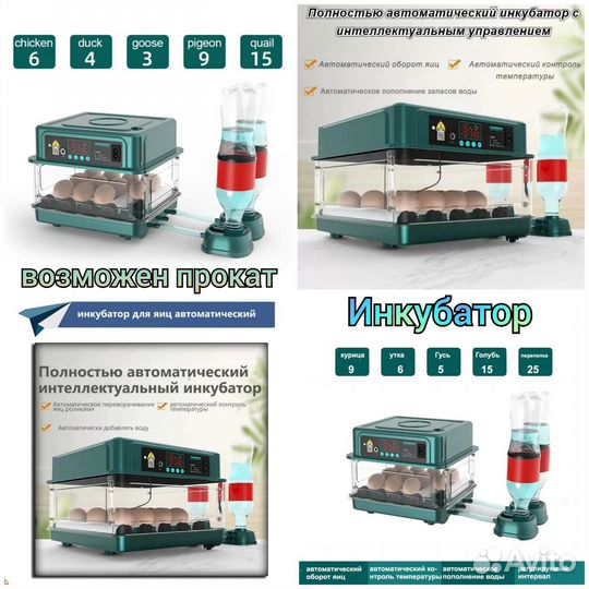 Автоматический инкубатор для разных яиц + прокат