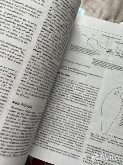 Книги по биологии Тейлор, Грин, Стаут