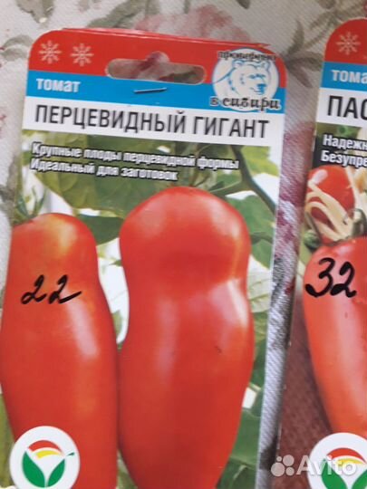 Рассада овощей