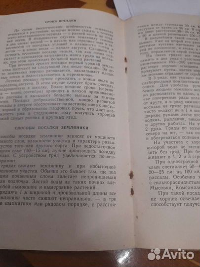 Книга Земляника Михайлов