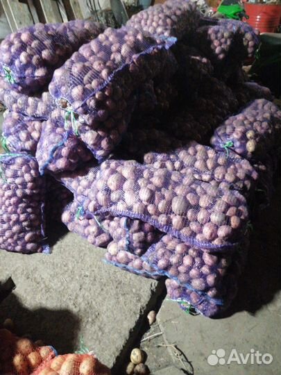 Продам картофель едовой