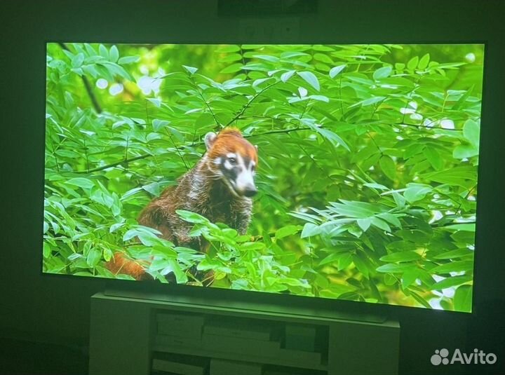 LG Oled 55