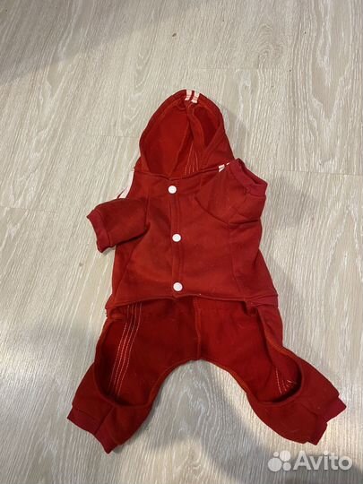 Одежда для собак мелких пород