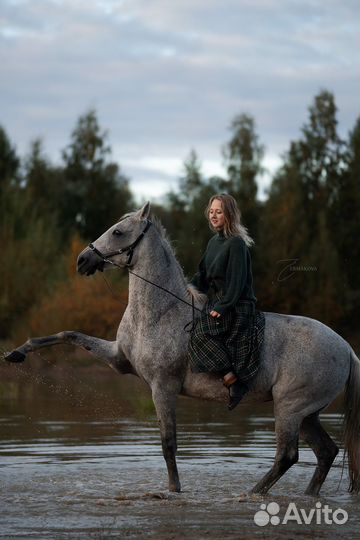 Фотосессии с лошадьми спб