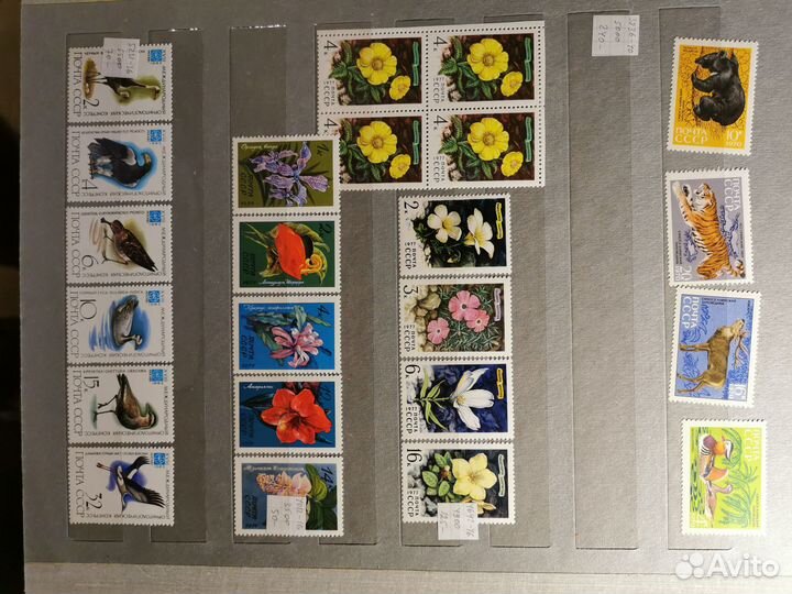 Почтовые марки флора и фауна