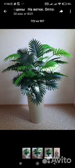 Фитокартина и не только