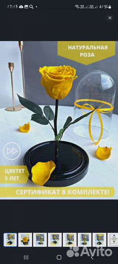 Стабилизированная Вечная роза в колбе