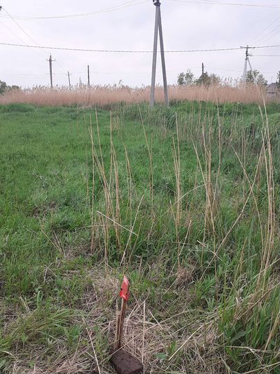 Участок 20 сот. (ИЖС)