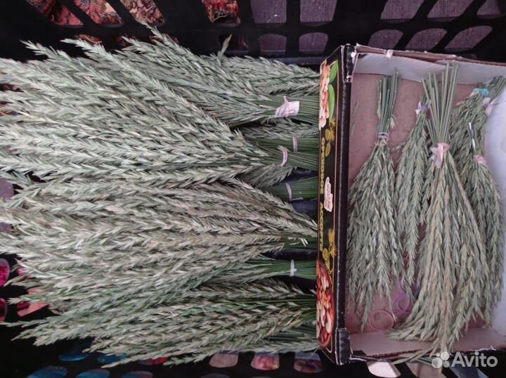 Корм лакомство для птиц, попугаев, грызунов