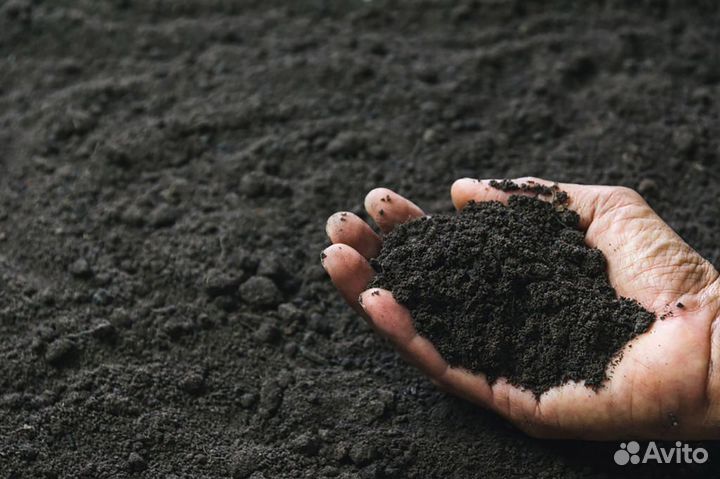 Доставка гравий, песок, щебень, отсев, чернозем