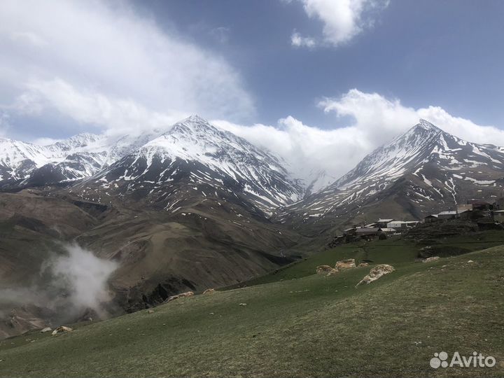 Работа садовника