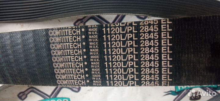 Поликлиновой ремень PL 2845 / 1120 L