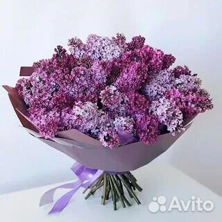 Букет из сирени