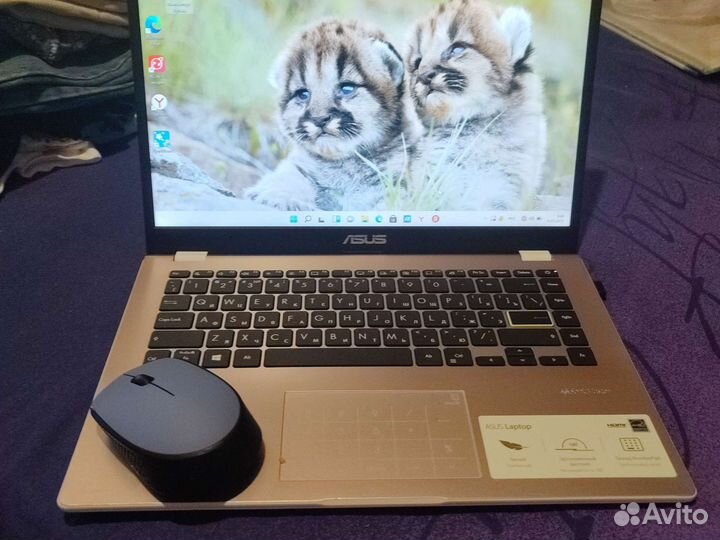 Ноутбук asus новый