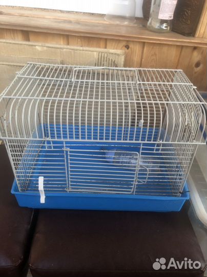 Клетка аасесуары для грызунов