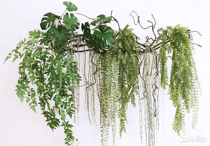 Озеленение интерьера, фитостены фитопанно деревья