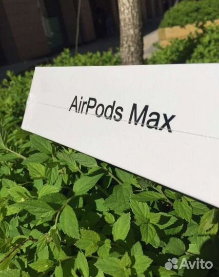 Apple airpods max