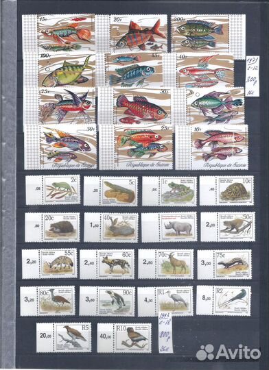 Фауна чистая 1