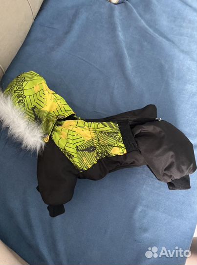 Одежда доя собак