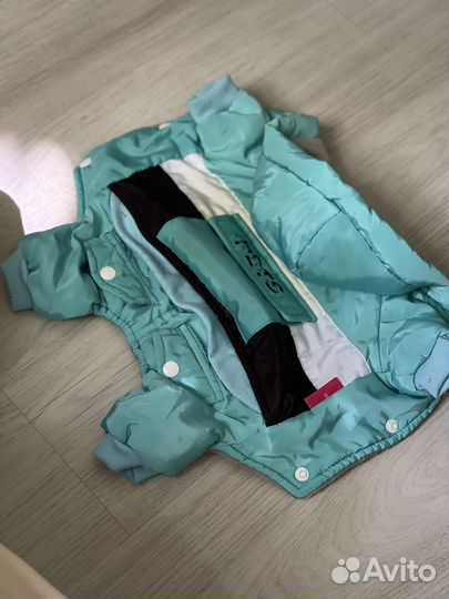 Одежда и амуниция для маленьких собак