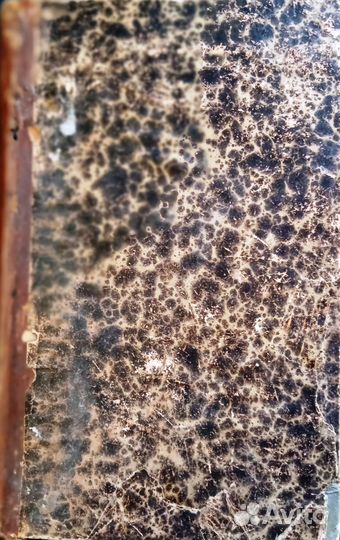 Букинистическая книга 1904 года издания