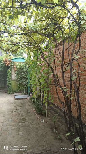 Дом 36 м² на участке 1,2 сот.