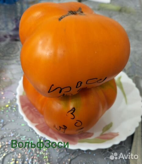 Семена коллекционных сортов томатов