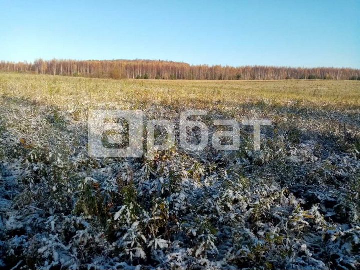 Участок 10 га (СНТ, ДНП)