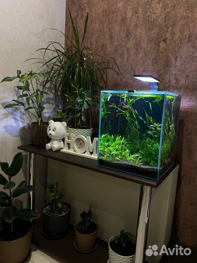 Аквариум aquael 30
