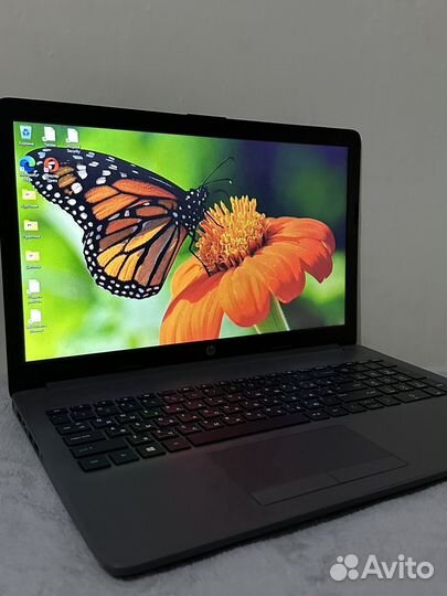 Ноутбук hp