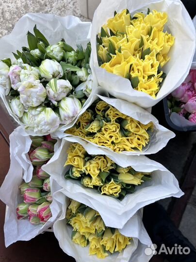 Цветы тюльпаны