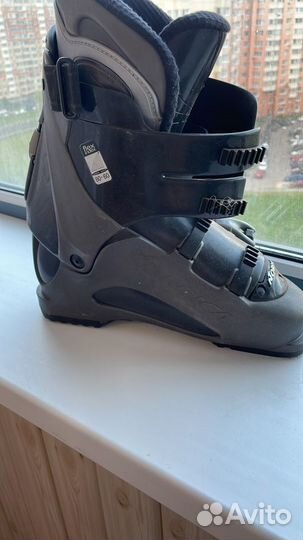 Горные лыжи