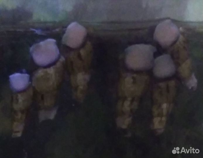 Улитки аквариумные