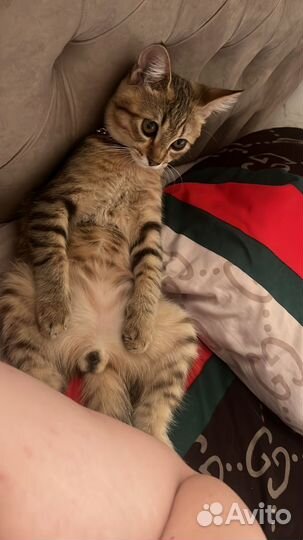 Европейская