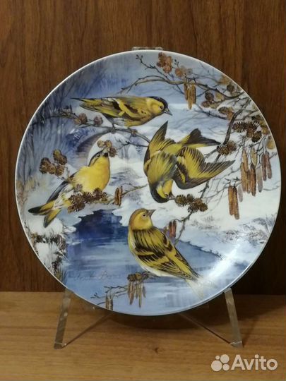 Тарелки урсулы банд. птицы зимой