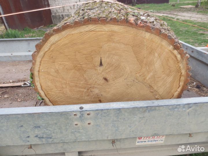 Колоды дубовые для рубки мяса, под наковальню