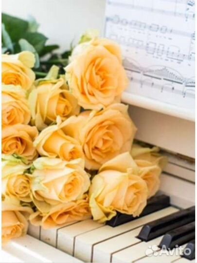 Репетитор преподаватель по фортепиано