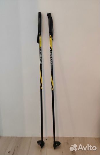 Лыжные палки