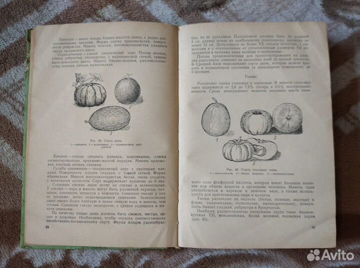 Товароведение овощей, плодов и вина 1963 Госторгиз