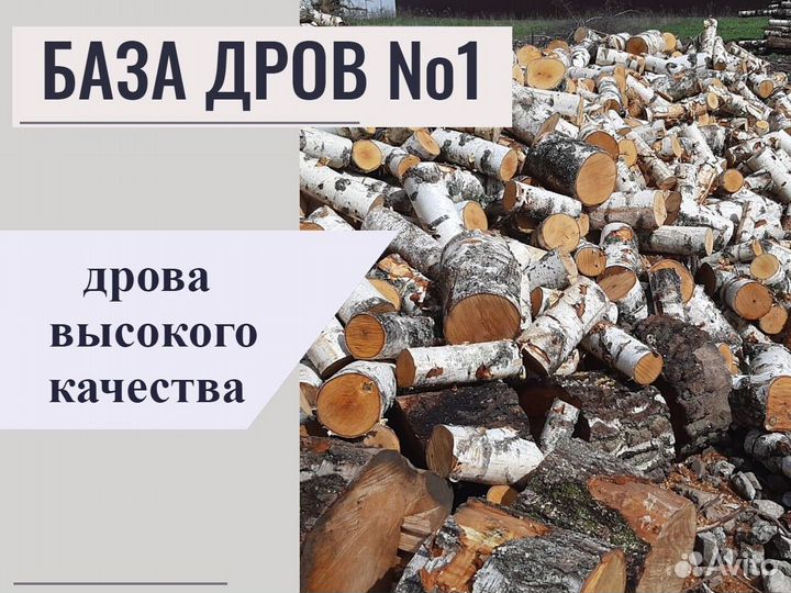 Дрова березовые