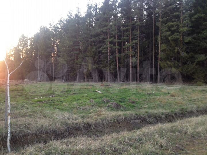 Участок 10 сот. (СНТ, ДНП)