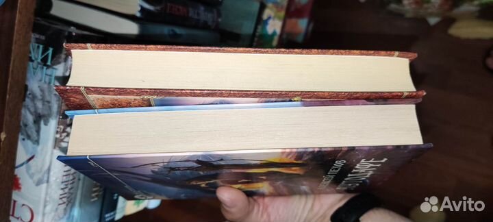 Аутодафе. Алексей Пехов