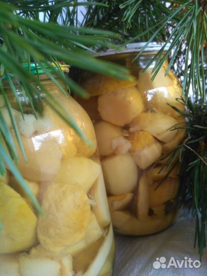 Грибы в ассортименте белый, маслёнок