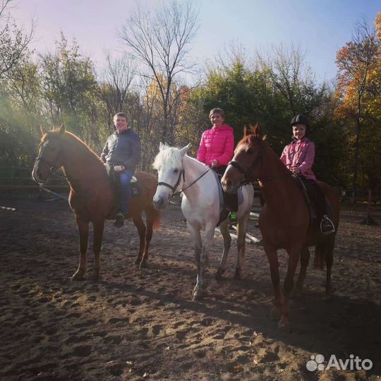 Конные прогулки, обучение